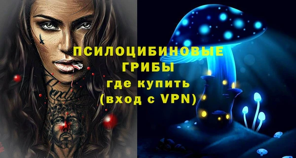 гидропоника Арсеньев